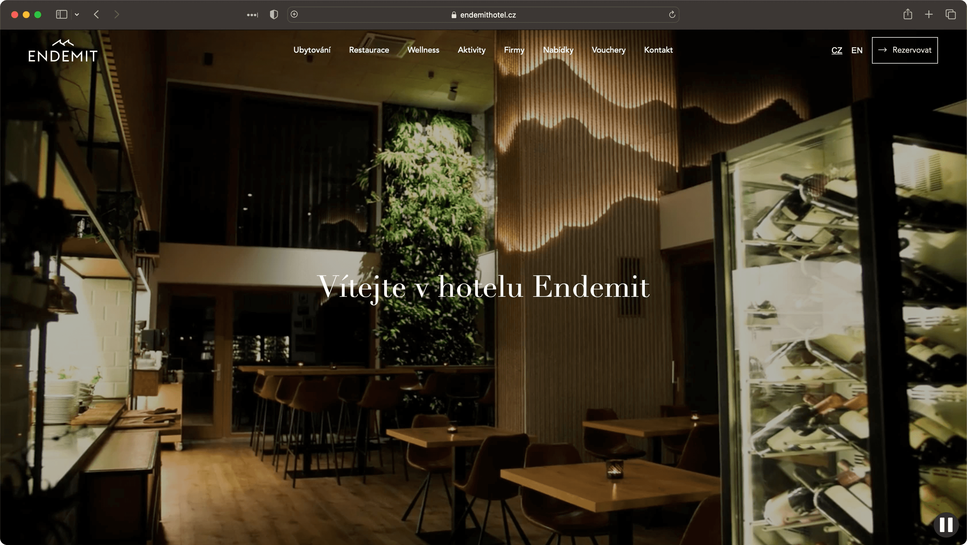 endemithotel.cz project preview